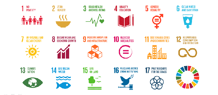 png-clipart-sustainable-development-goals-sustainability-millennium-development-goals-united-nations-development-programme-others-text-logo-removebg-preview