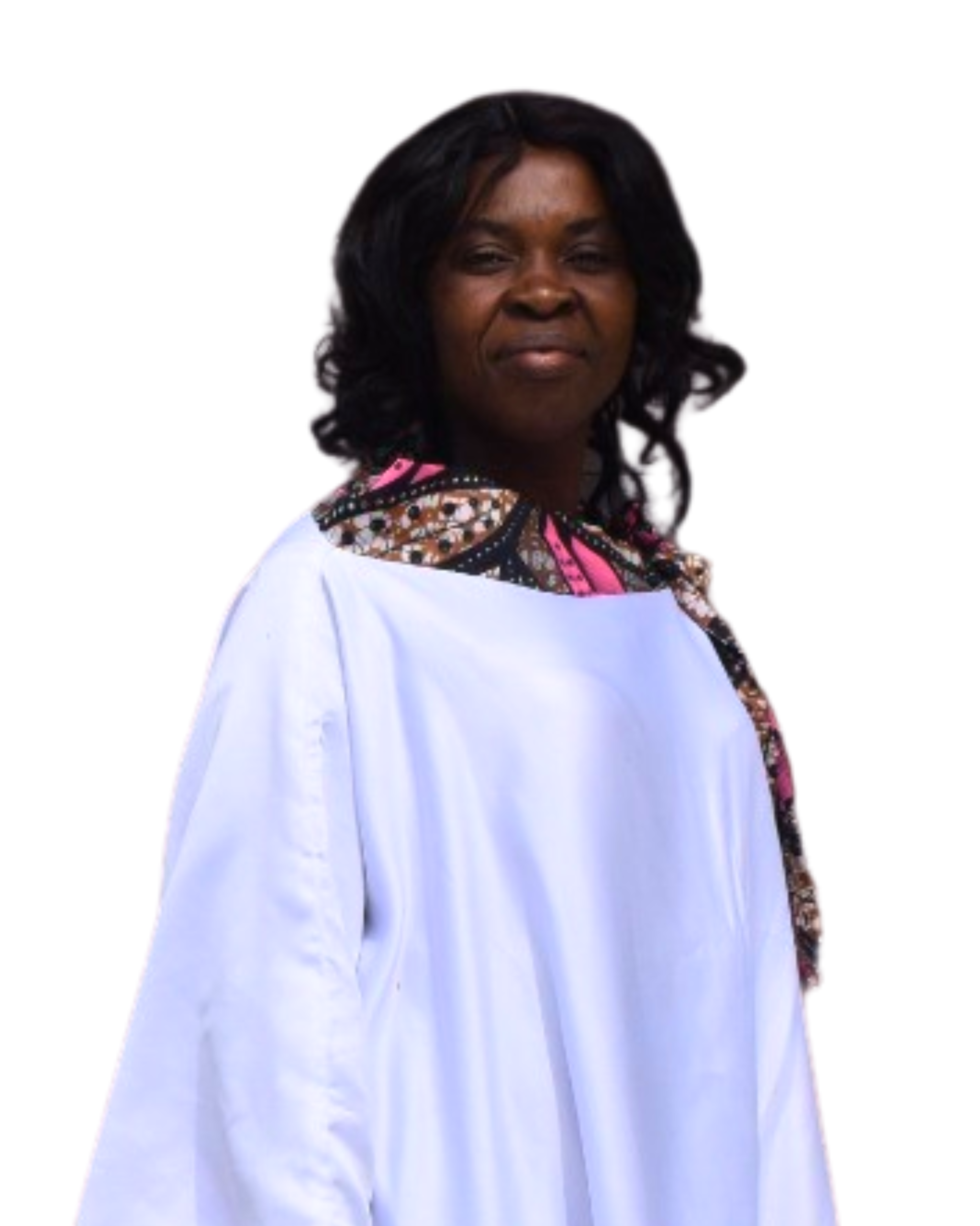 ANI OGECHUKWU CONFIDENCE 